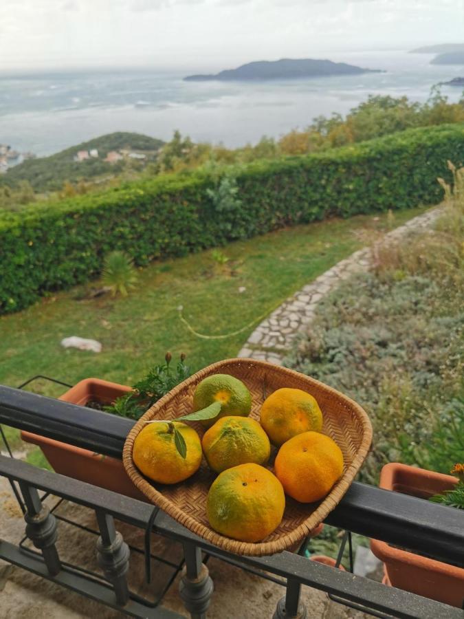 Lux Villa Provence Budva Exterior foto